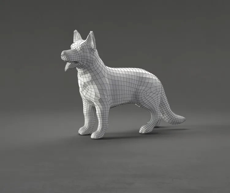 German shepherd