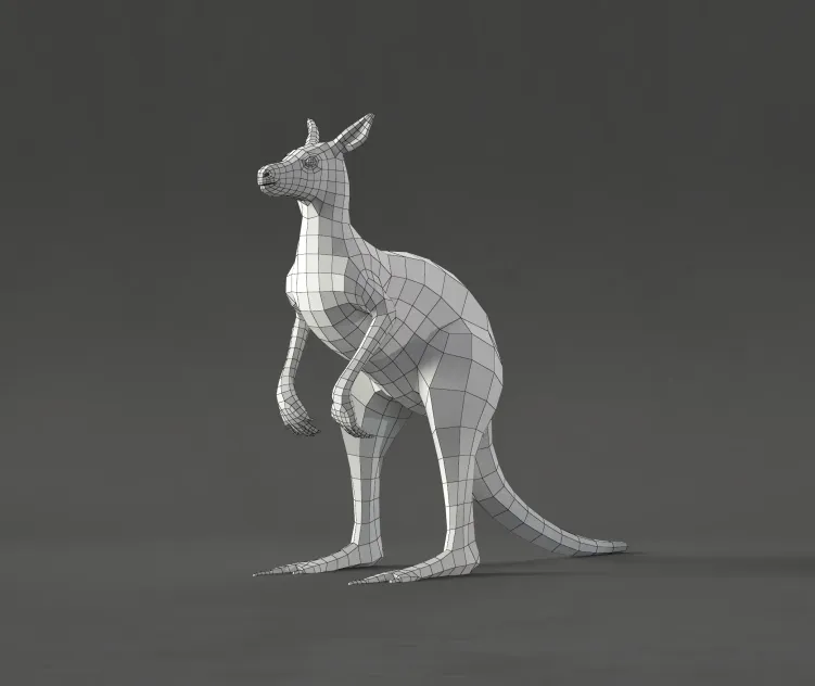 Kangaroo