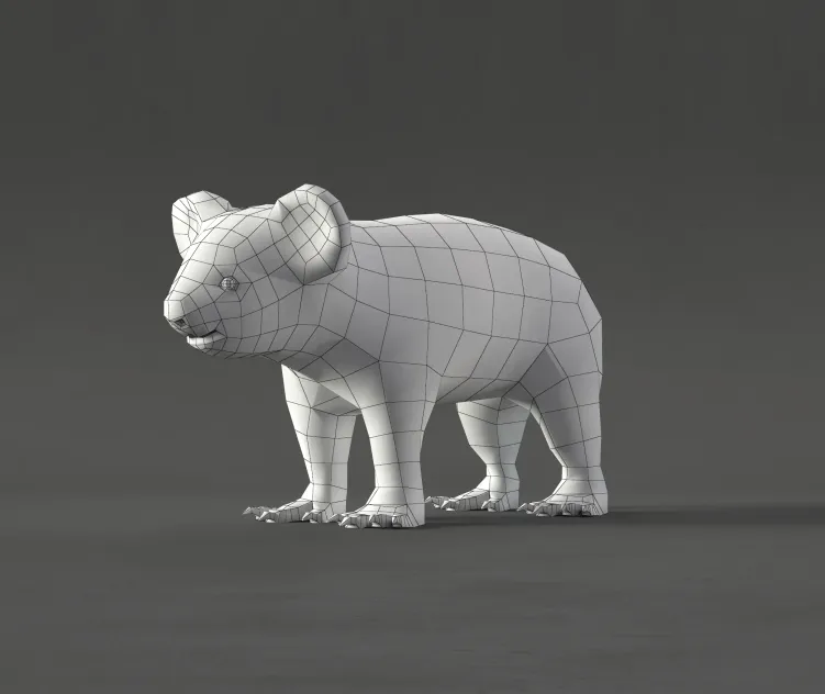 Koala