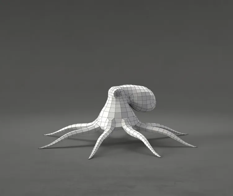 Octopus