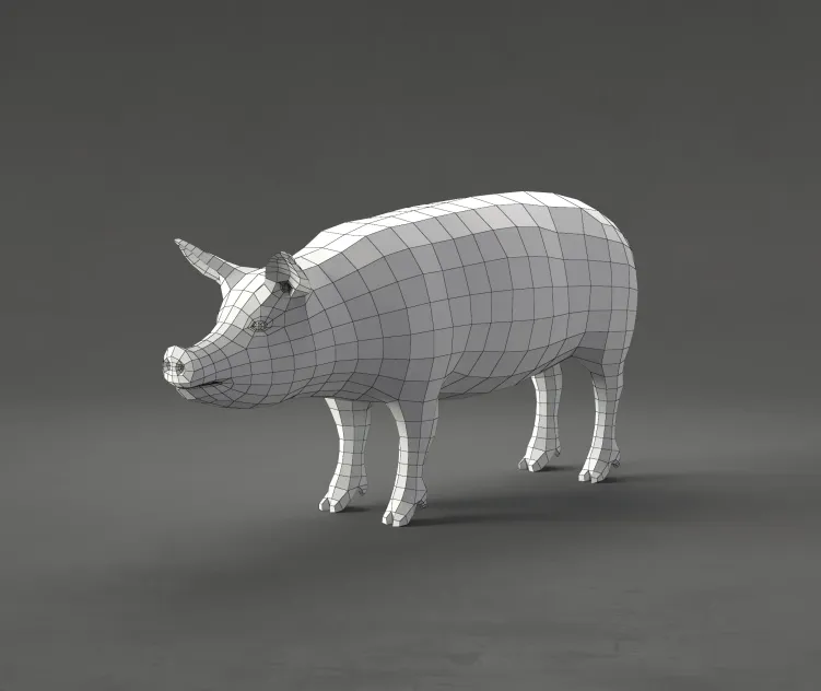 Pig