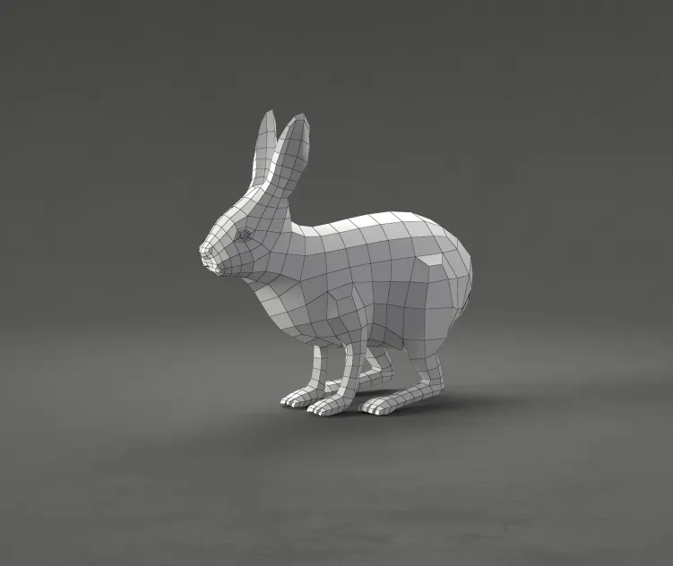 Rabbit