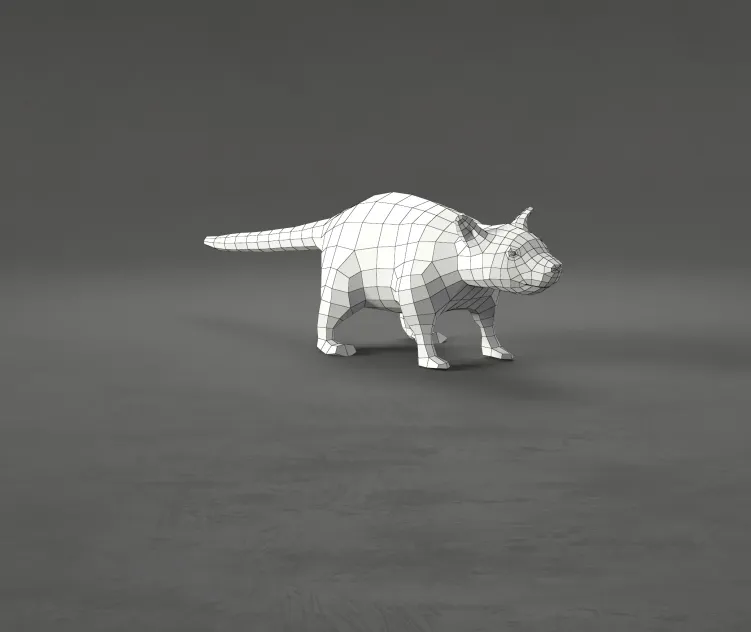 Rat