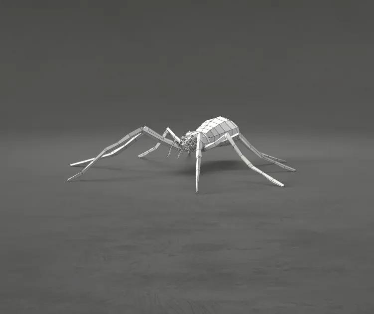 Spider