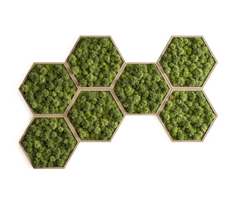 Hexagon Green Wall Panel Set