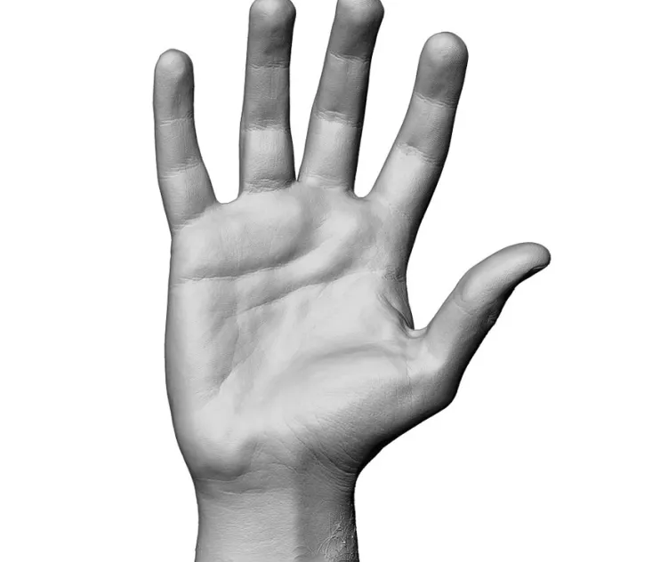 Hand Relaxed Scan Store