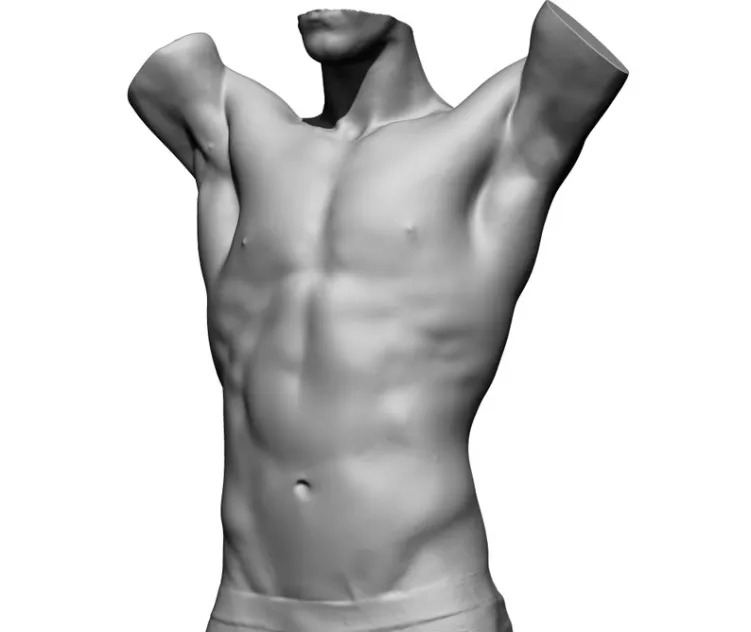 Male Torso Scan Store 4
