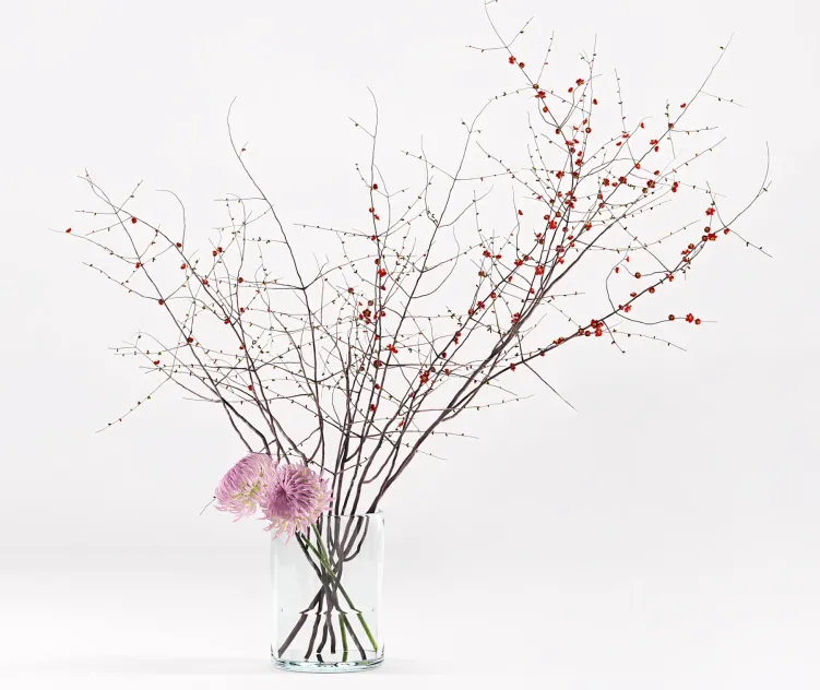 Prunus branches chrysanthemums