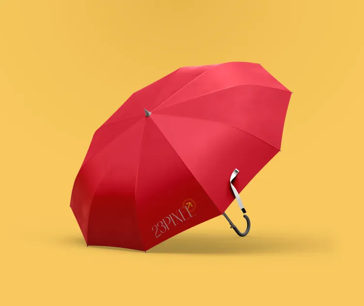 Umbrella 2