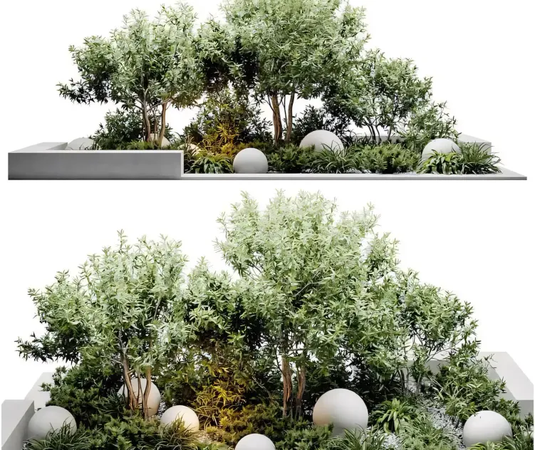 Outdoor plants