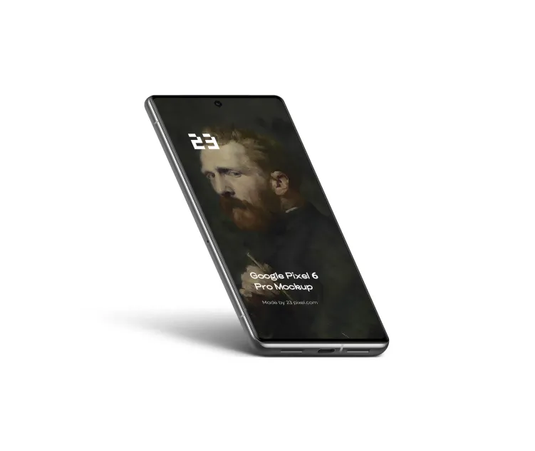 Google Pixel 6 Pro 1