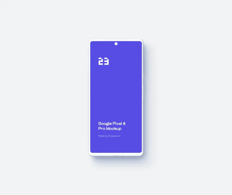 Google Pixel 6 Pro 1