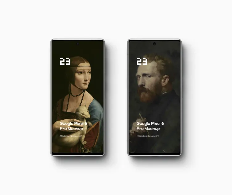 Google Pixel 6 Pro 2