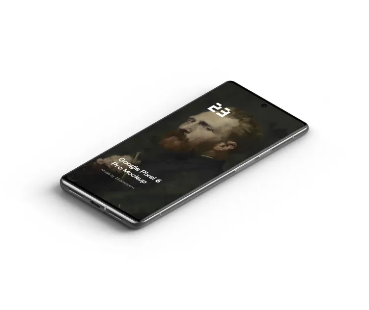 Google Pixel 6 Pro 6