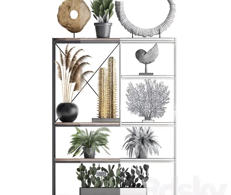Decorative 49