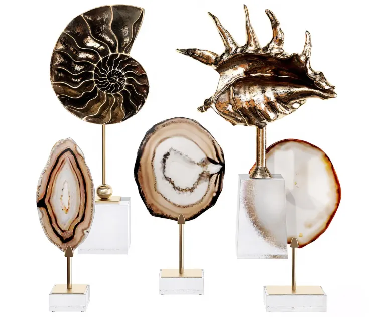 Sea shell decorative set
