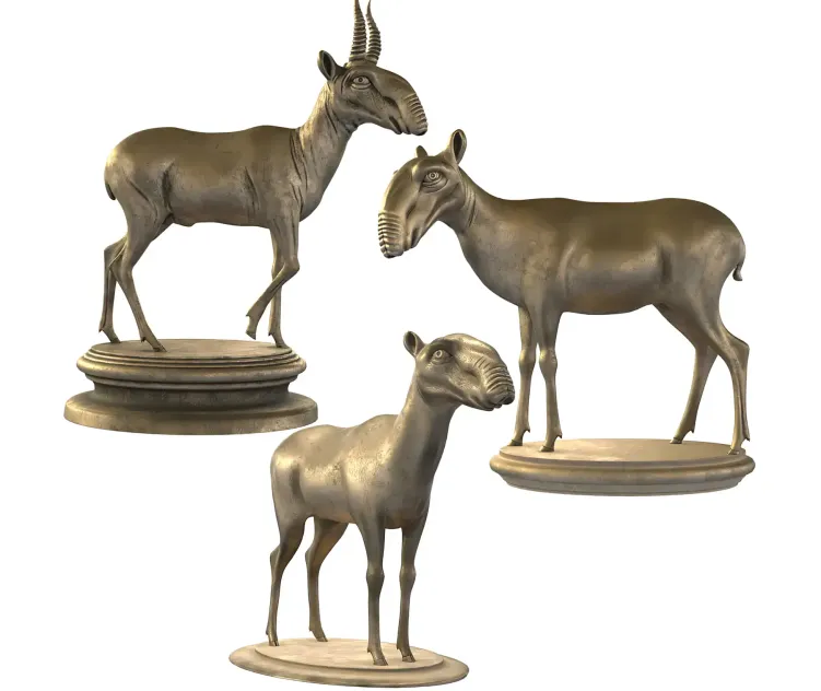 Figures of saigas