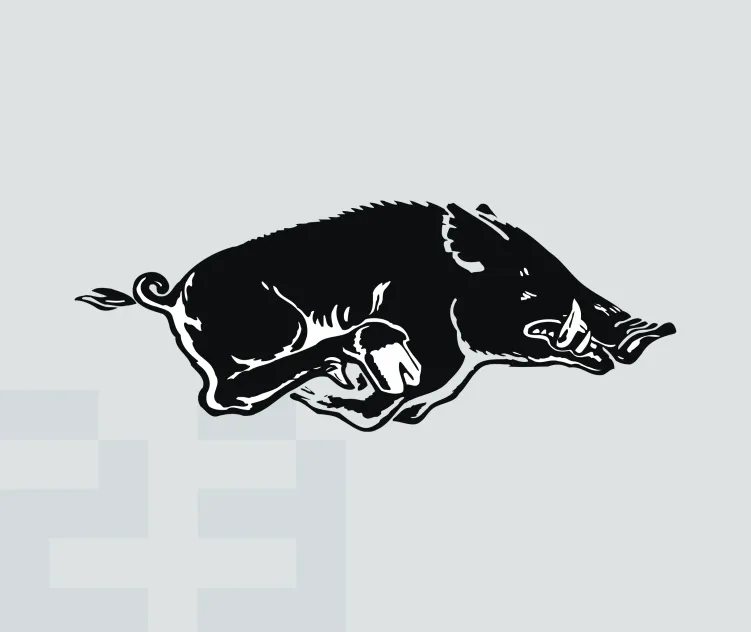 Arkansas razorback 1