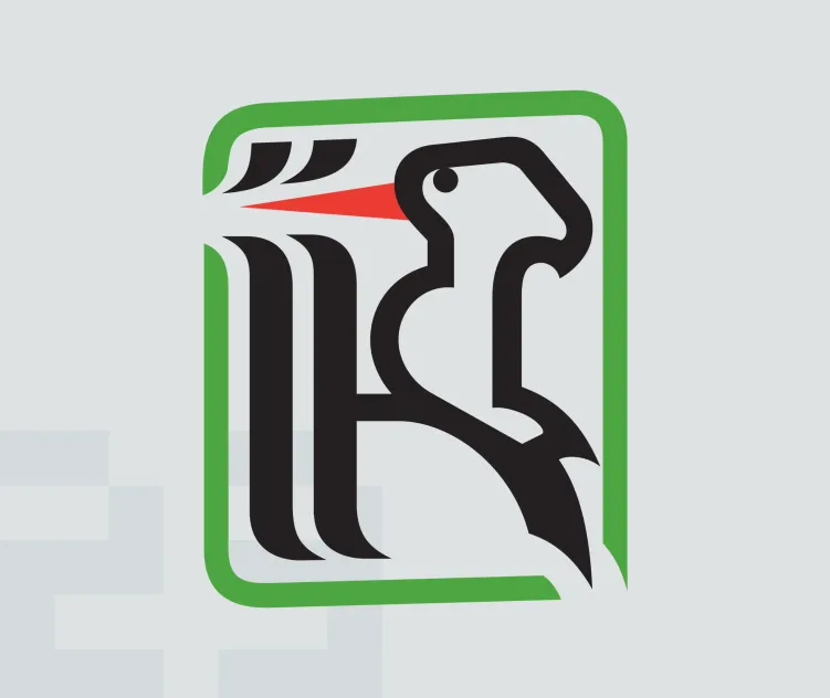 Ascoli calcio 1