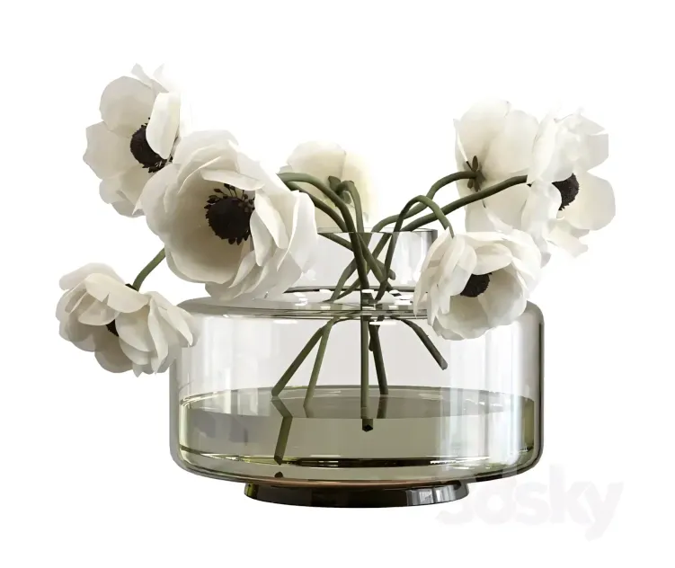 Bouquet of anemones