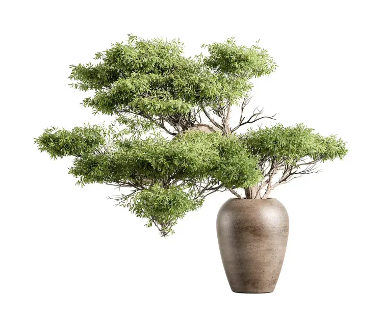Green Branch