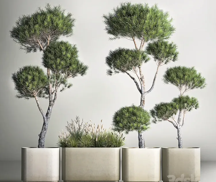 Plant collection