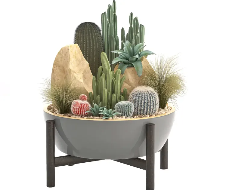 Plant collection 3