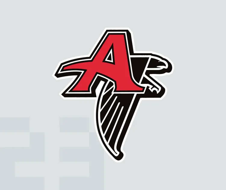 Atlanta falcons 2