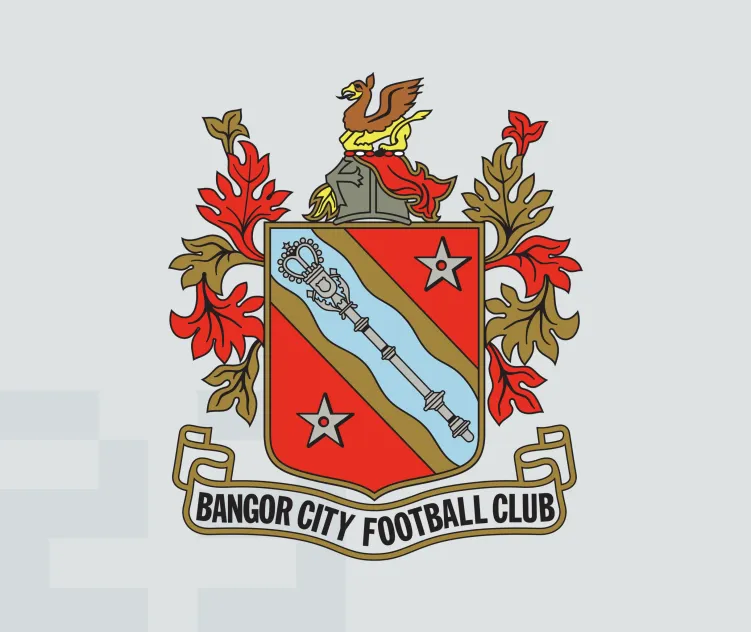 Bangor city fc