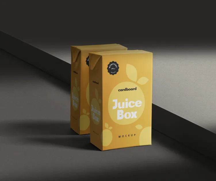 Small Cardboard Juice Box 2