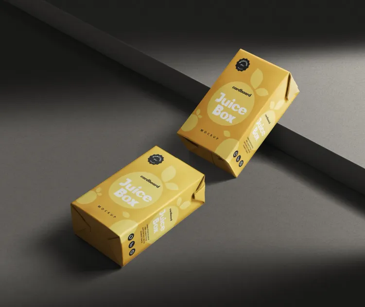 Small Cardboard Juice Box 4