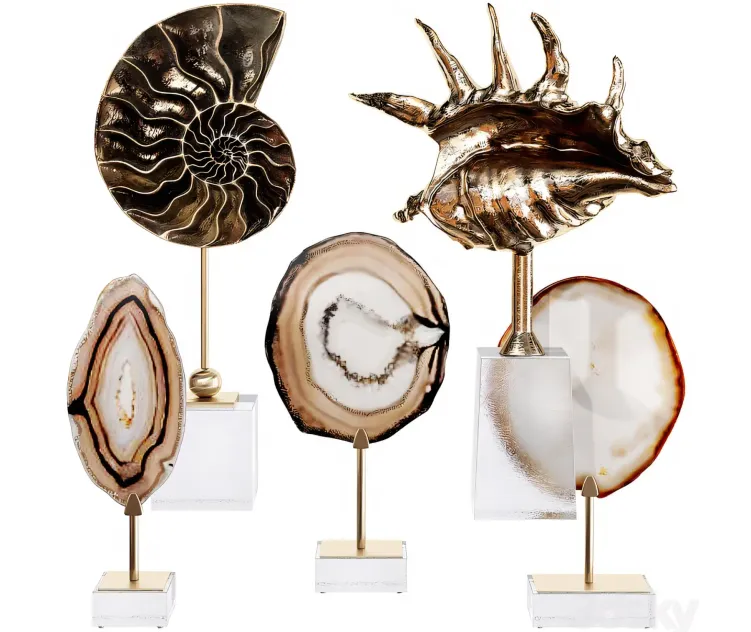 Sea Shell Decorative Set