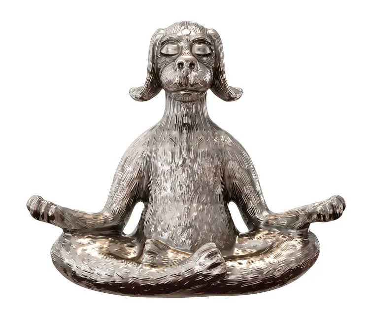 Yoga Dog